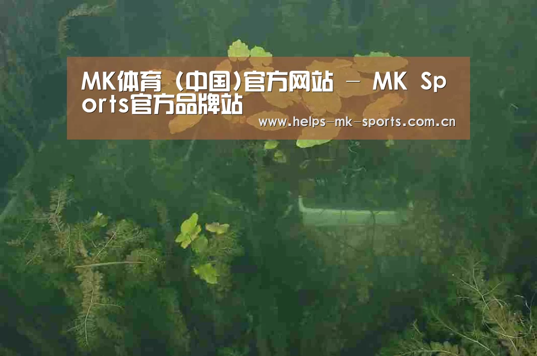 案例展示三(图1)