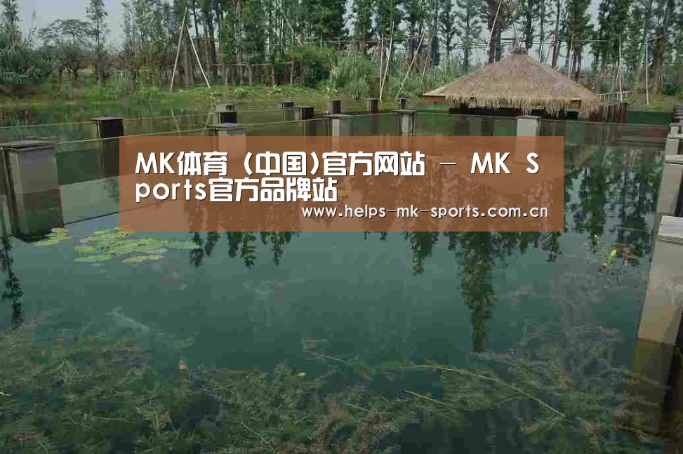案例展示二