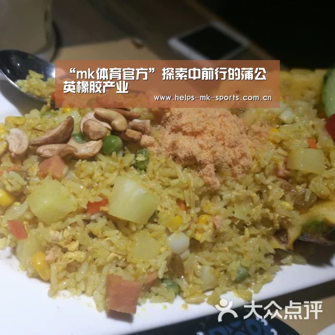 “mk体育官方”探索中前行的蒲公英橡胶产业(图2) mk体育
