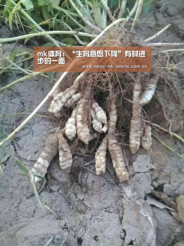 mk体育:“生育意愿下降”有其进步的一面(图1) mk体育