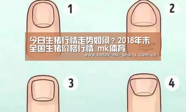 mk体育官方