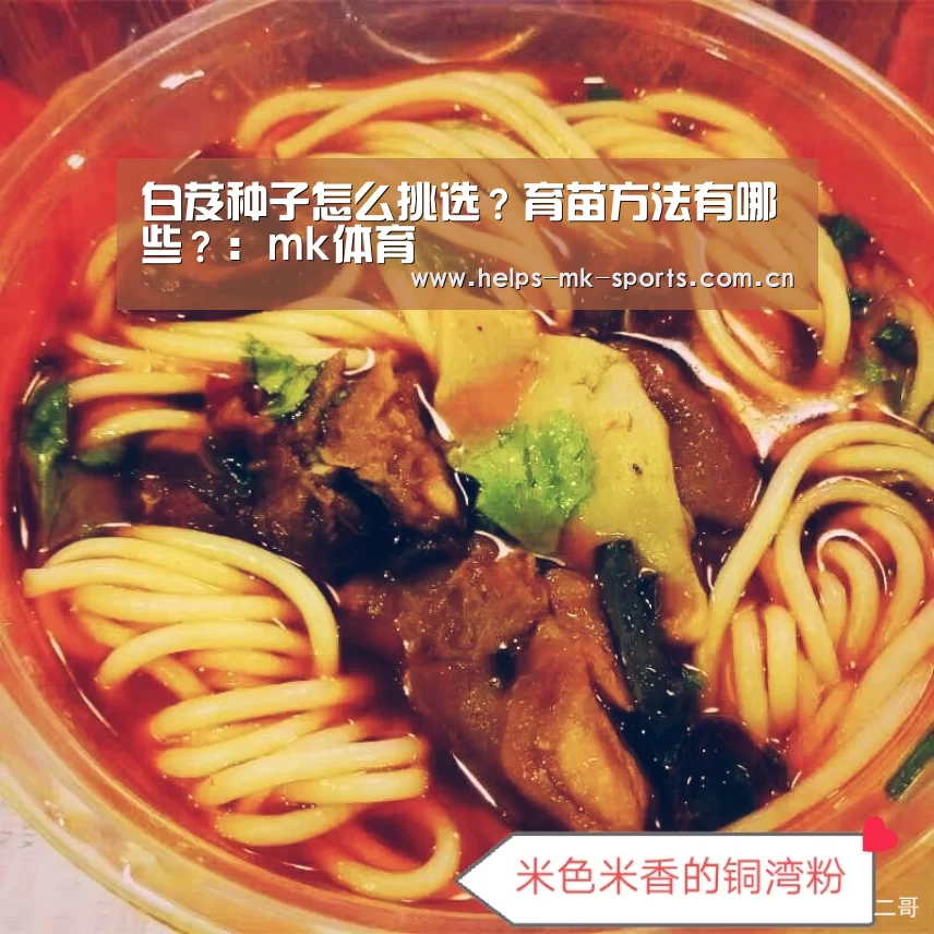 白芨种子怎么挑选?育苗方法有哪些?:mk体育(图1) mk体育官方