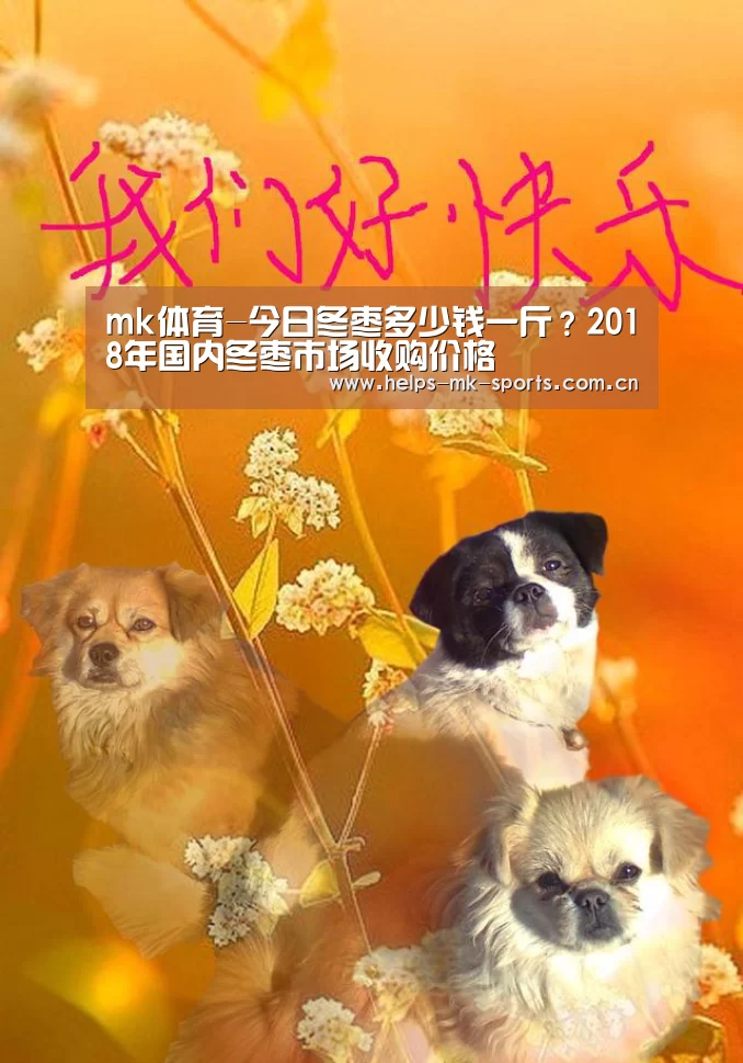mk体育-今日冬枣多少钱一斤?2018年国内冬枣市场收购价格(图2) mk体育官方