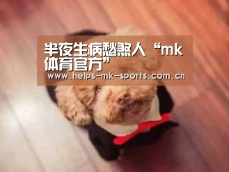 mk体育官方