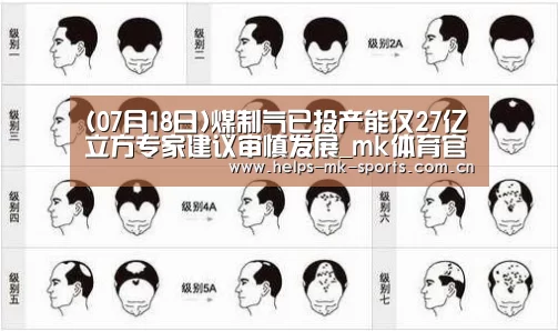 (07月18日)煤制气已投产能仅27亿立方专家建议审慎发展_mk体育官方(图1) mk体育