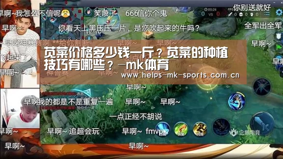 mk体育