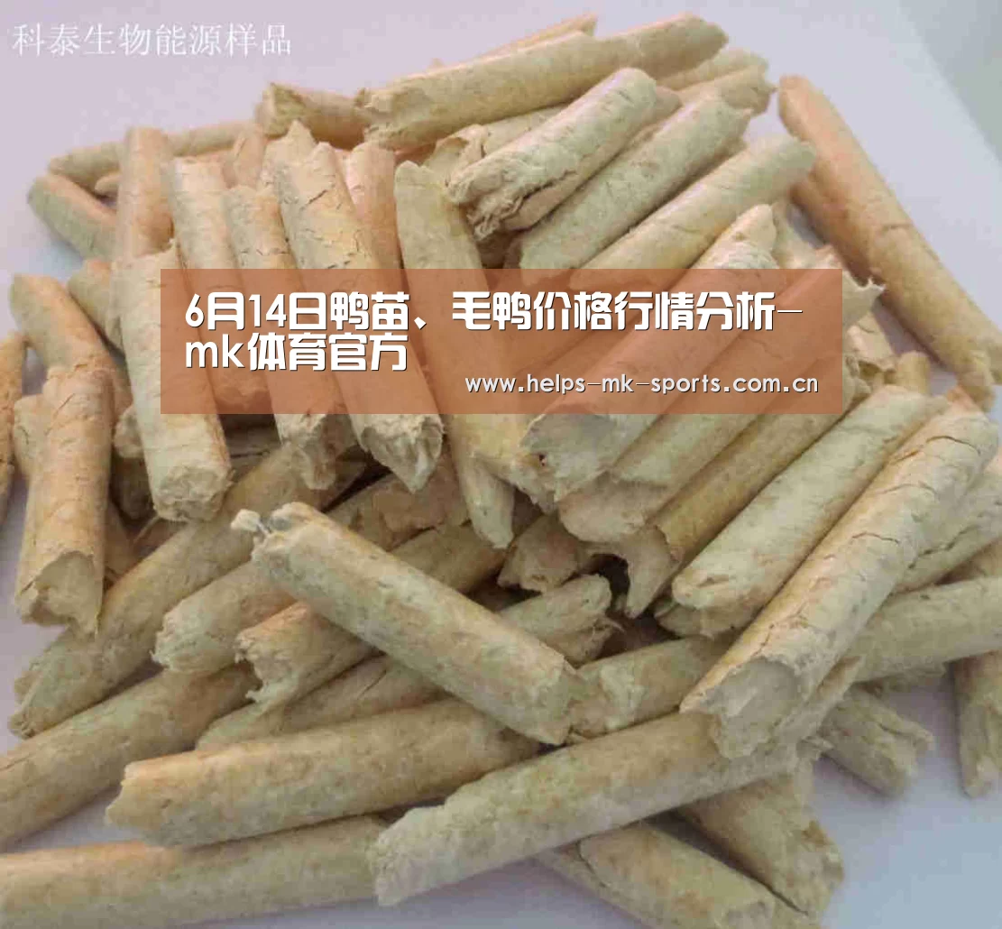 mk体育官方