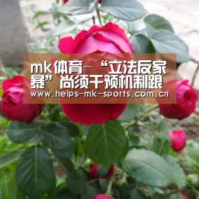 mk体育