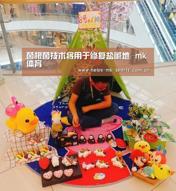 mk体育官方